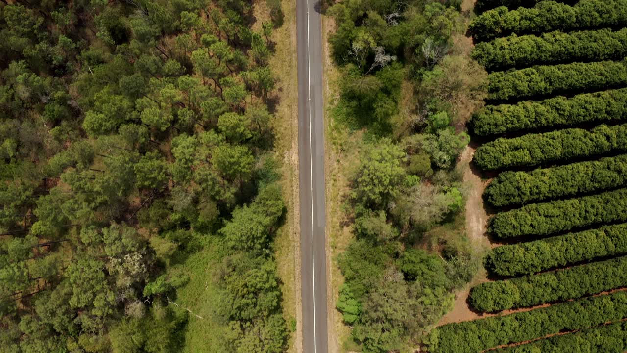 vista aérea cinematográfica de arriba hacia abajo de la carretera rural en la región de la costa del sol en qld, australia - disparo de drones