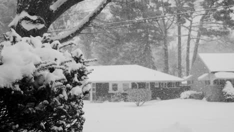 extreme slow motion of heavy snowflakes falling in black and white