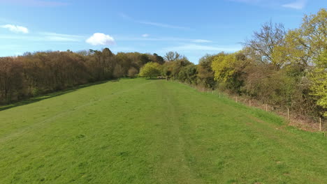 Aerial-Shot-Of-Mature-Couple-And-Dog-On-Walk-In-Countryside