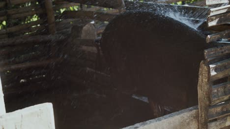 cleaning pig system with clean water