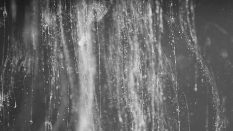 particles and debris falling through water 02