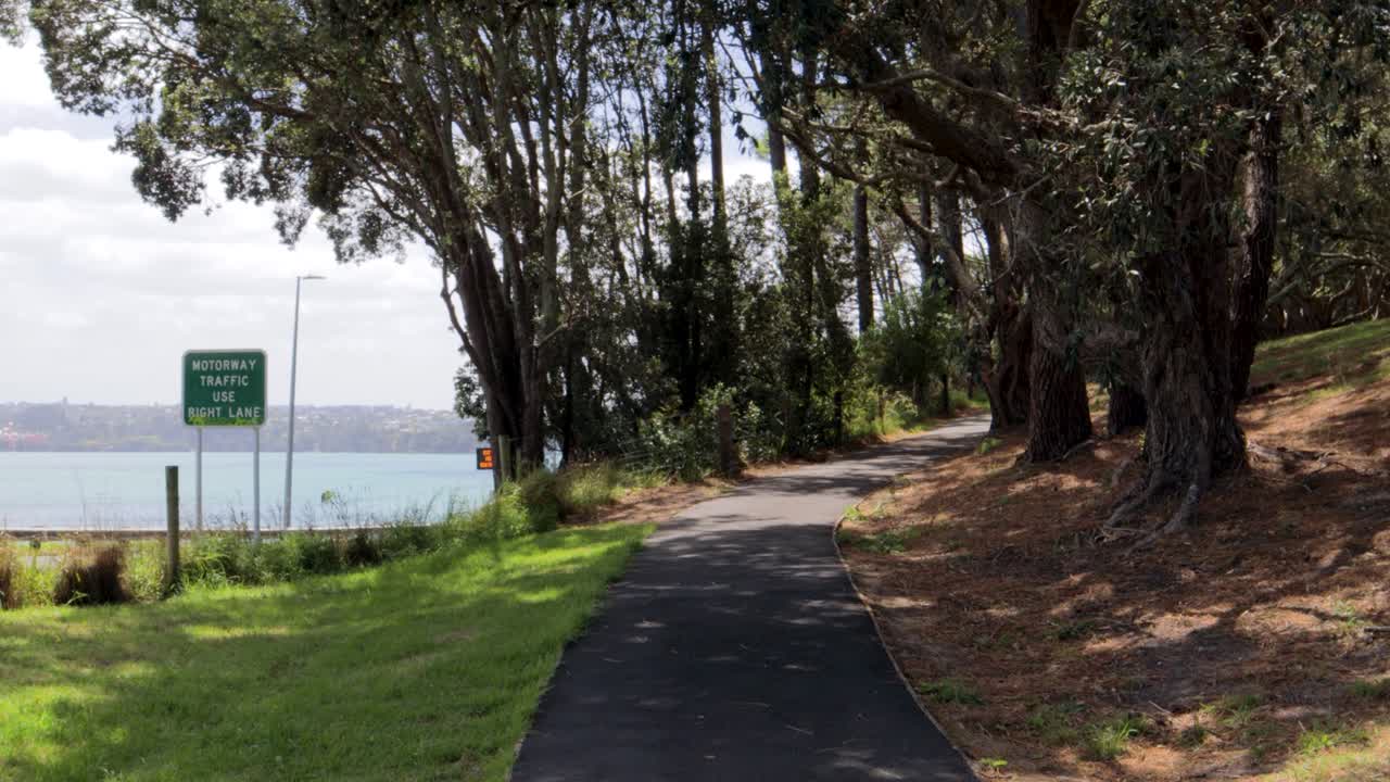 Sentiero tra gli alberi e prato verde accanto nel parco cittadino di Auckland, Nuova Zelanda