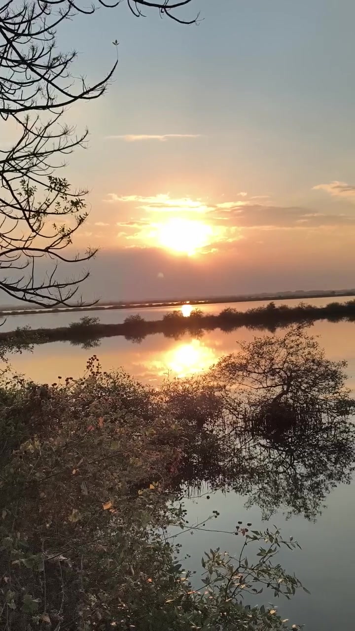 Zlatý západ slunce nad klidným jezerem se siluetami stromů