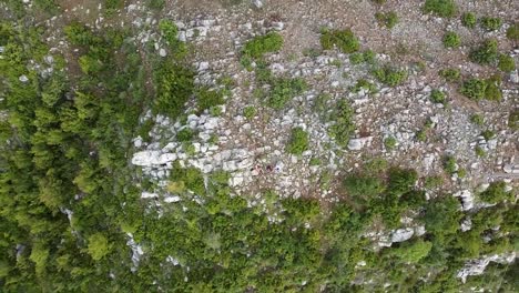 Luftaufnahme-Einer-Gruppe-Von-Freunden,-Die-Sich-Auf-Einem-Felsigen-Gebiet-Entspannen-Und-Meditieren,-Das-Von-Einem-Kiefernwald-In-Albanien-Umgeben-Ist