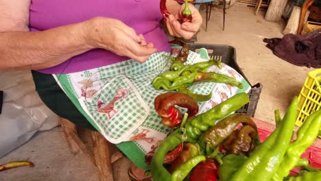 Skewing-sweet-peppers-on-the-wire-to-make-them-dry-together