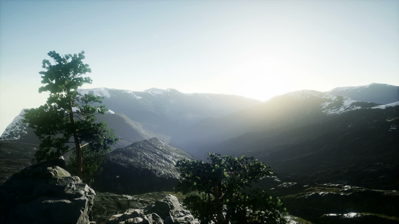 rayos de sol a través de los árboles