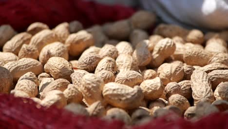a close-up of peanuts in their shells