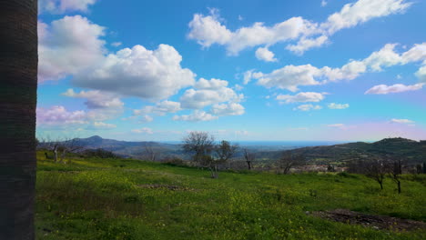 a scenic view through tall palm trees over a lush green field toward distant mountains under a sky with scattered clouds