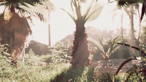 tropical paradise: lush palm trees and sunlight
