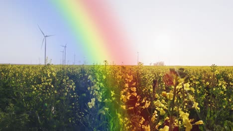 video of rainbow fog over moving countryside landscape