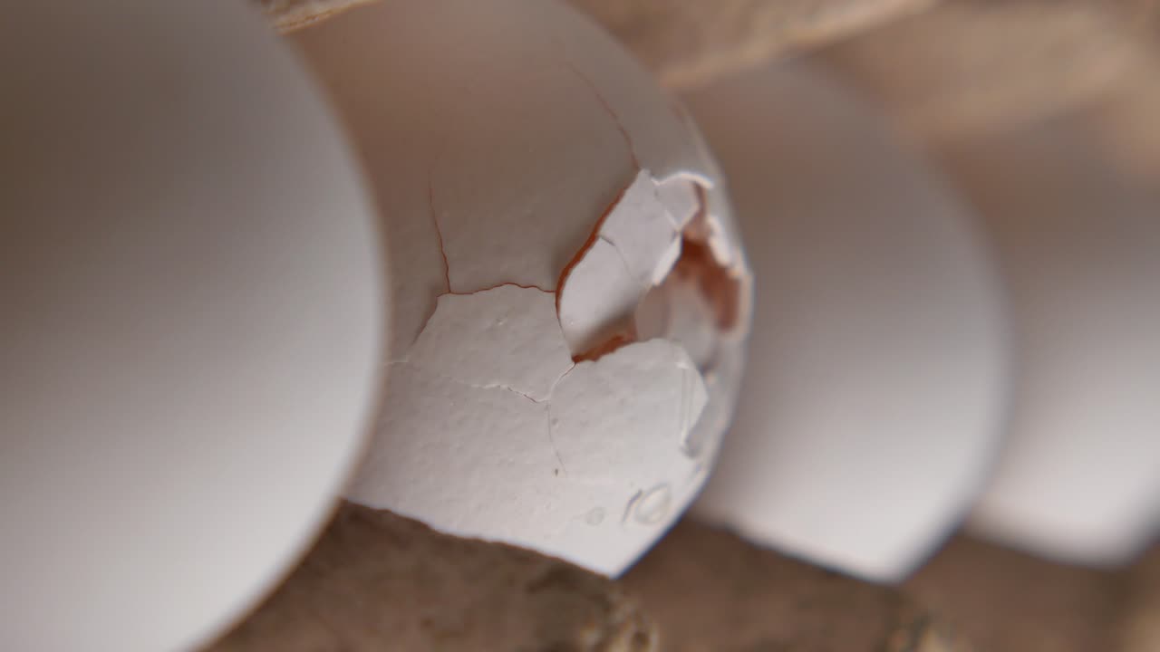 Close-up of a Cracked White Egg in a Carton