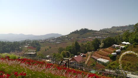 Hermosa-Vista-Sobre-Mon-Jam-Con-Flores-En-Un-Día-Soleado