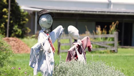 scarecrows swaying gently in the wind