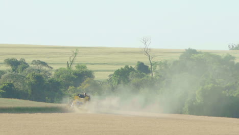 general shot of a seeder tractor harvesting soybeans in the field from a rear angle