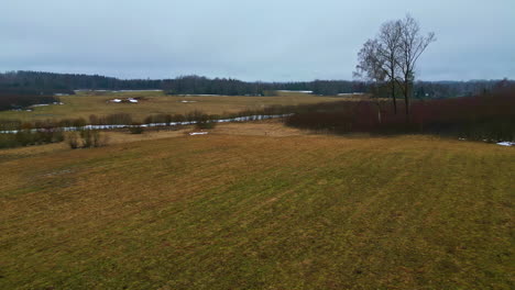 Empty-countryside-fields-adorned-with-golden-leaves-and-silent-trees-in-autumn