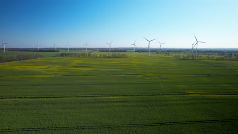 vast agricultural wheat growing green fields and wind farm in poland - aerial rising high up revealing