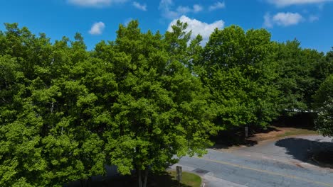 car driving in the road with green trees in summer - revealing the skyline of georgia, usa. - aerial ascen dhsot