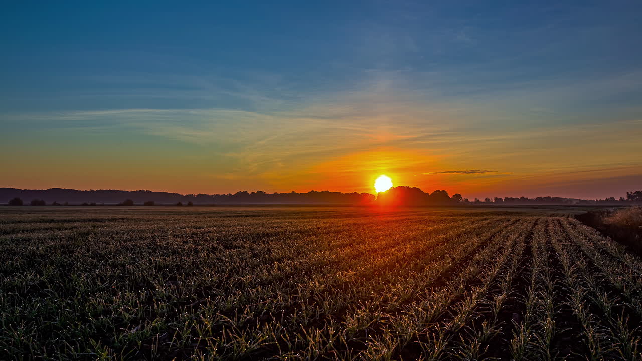 sol de color naranja saliendo en el horizonte e iluminando el campo agrícola, lapso de tiempo 4k