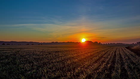 orange colored sun rising up at horizon and lighting on farm field,time lapse 4k