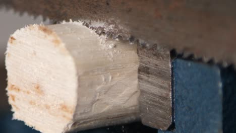 extreme close up sawing a piece of a stick with a rusty saw in slow motion