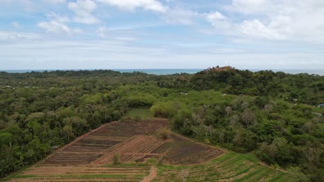 Drone-flying-over-vegetation-and-towards-the-ocean