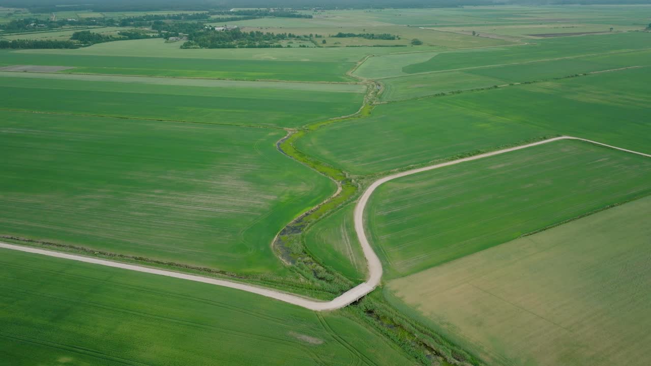 vista aérea de un campo de cereales en maduración, agricultura orgánica, paisaje rural, producción de alimentos y biomasa para un manejo sostenible, día soleado de verano, toma amplia de un avión no tripulado avanzando