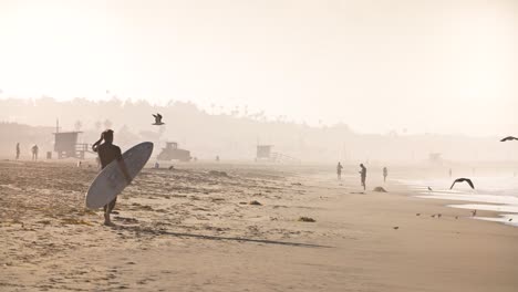 surfer walking along sunny beach