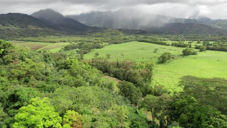 Kauai-Hawaii-Landschaftsdschungel-Drohnenaufnahmen