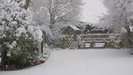 Ruhiger-Zeitlupenschneefall-In-Einem-Schneebedeckten-Garten