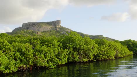 La-épica-Montaña-Tafelberg-En-La-Isla-Caribeña-De-Curacao-Con-Un-Río-Bordeado-De-Manglares-En-Primer-Plano