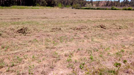 Aerial-dolly-in-view-of-a-field-full-of-dry-straw-on-a-sunny-day,-global-warming-heating-the-crops