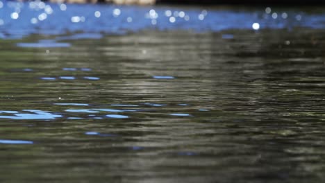 Primer-Plano-De-La-Superficie-Del-Agua-Del-Río