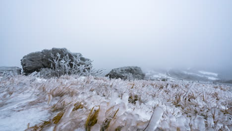 frosty winter landscape with icy grass and rock formations, shrouded in thick fog