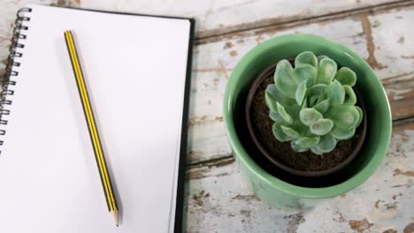 Aloe-vera-plant,-diary-with-pencil-and-binder-clips