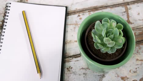 planta de aloe vera, diario con lápiz y clips de carpeta