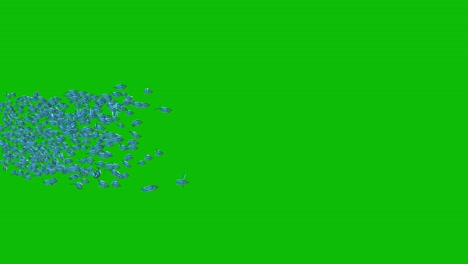 un banco de peces que pasa por la pantalla verde vista en perspectiva de animación 3d