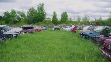 wide shot of a collection of vintage cars sitting in the grass with parts taken off them