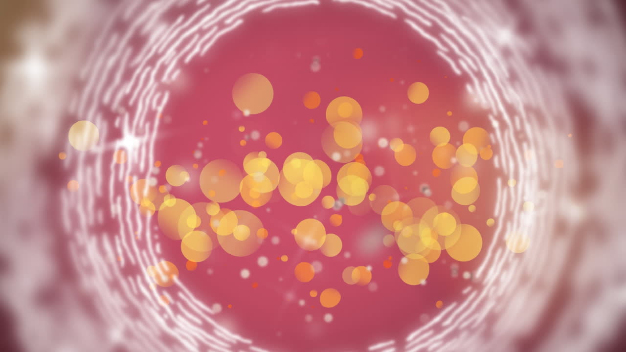 빛의 애니메이션과 분홍색 위의 원 모양 모양