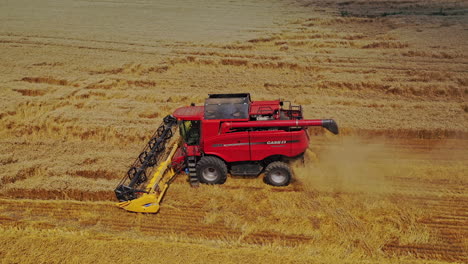 combine harvesting wheat. aerial view of combine working on wheat field