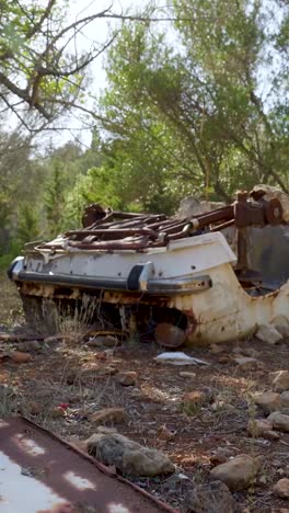 coche abandonado en el bosque