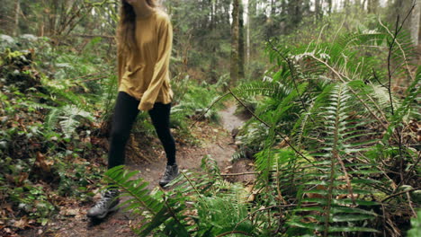 a young woman wearing a bright yellow jacket walks through a green mossy forest, sliding shot from behind a fern