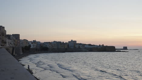 Sea-coast-and-houses-at-twilight