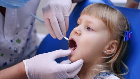 little girl with opened mouth in the dentist chair. doctor in protective gloves doing check up of a child's teeth. close-up.
