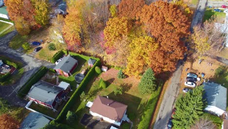 aerial drone shot above colorful trees in autumn landscape american neighborhood