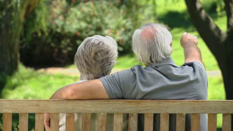 Alter-Mann-Entspannt-Sich-Mit-Seiner-Frau-Auf-Einer-Bank