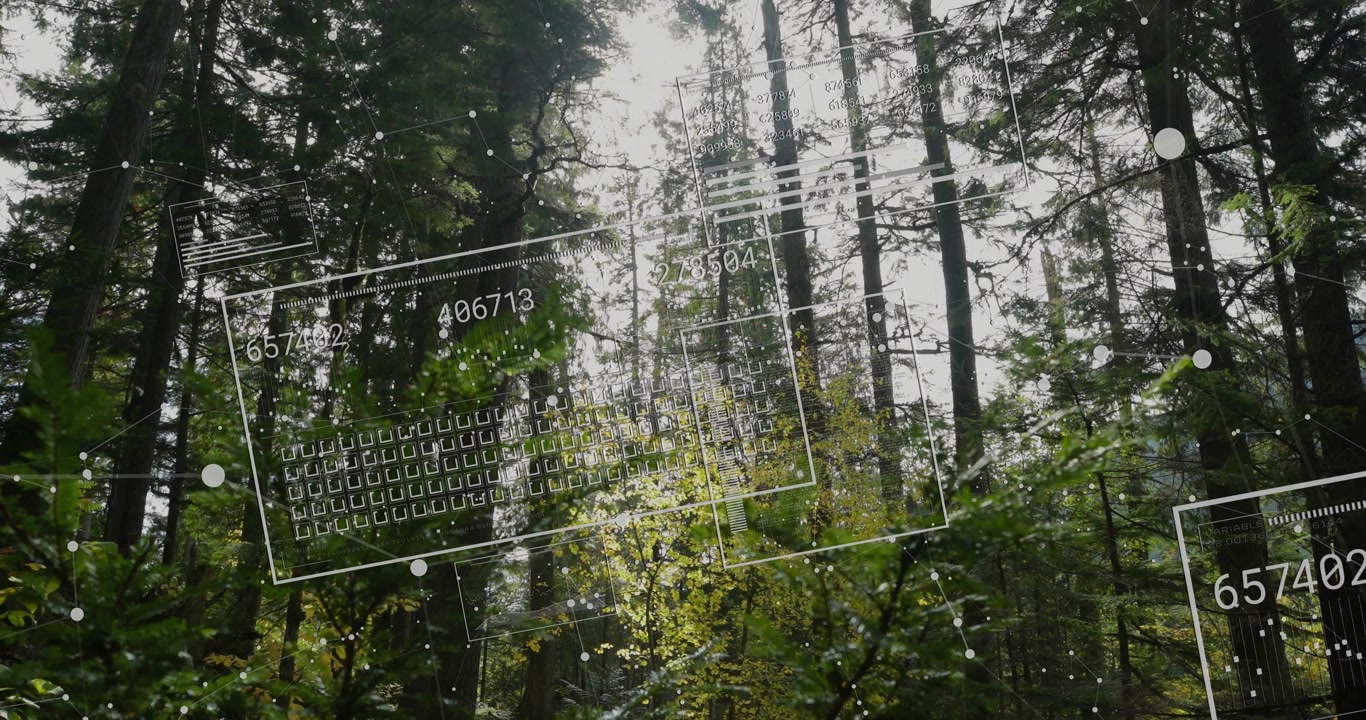 Sensors scanning canopy, projecting numbered panels and nodes, updating then exiting for ecology