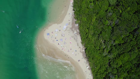 turistas en el arroyo tallebudgera en australia con agua cristalina y vegetación exuberante