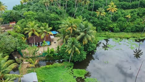 houses of villagers living near the lake , the beauty of rural india , coconut groves and full of trees