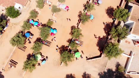 Desert-camping-grounds-with-few-trees,-aerial-shot
