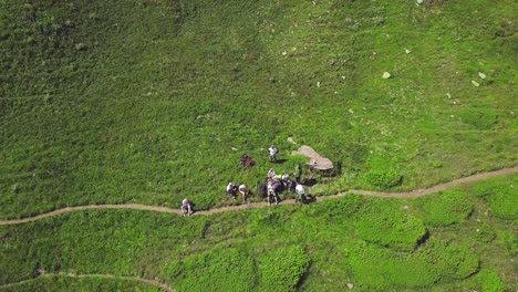 group hiking on mountain trail